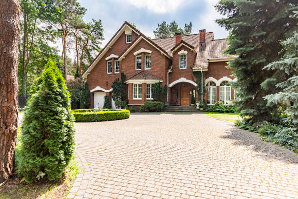 Best Brick Driveway Pavers  in Las Lomas, TX