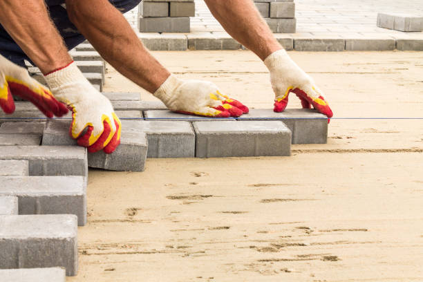 Best Residential Paver Driveway  in Las Lomas, TX