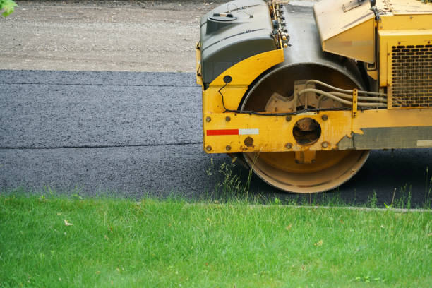 Best Affordable Driveway Paving  in Las Lomas, TX