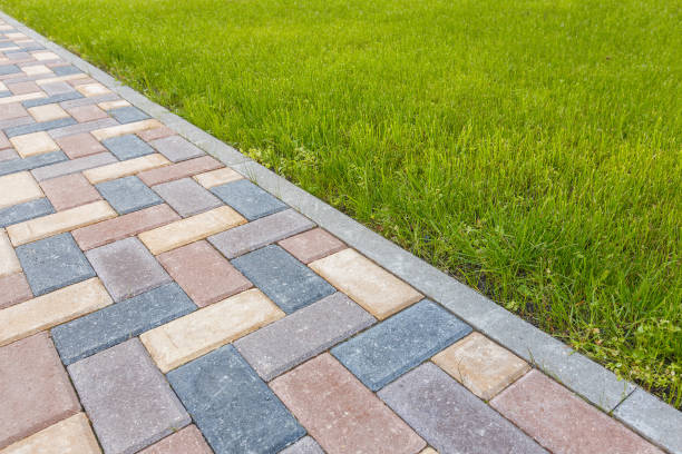 Best Affordable Driveway Pavers  in Las Lomas, TX